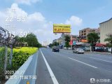 pro23-road-010